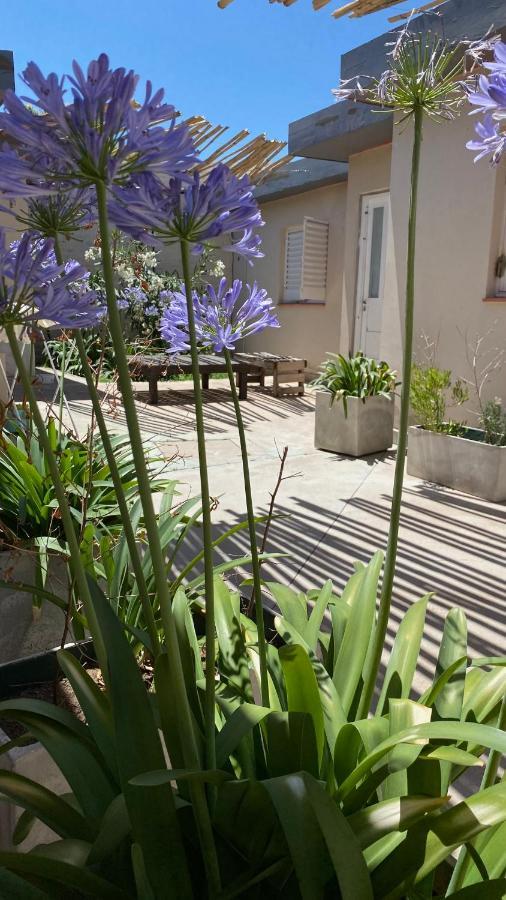 Edison Apartman RSA Kültér fotó
